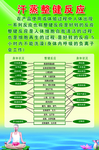 整健反映