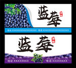 蓝莓基地