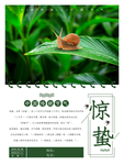 清新绿简约惊蛰海报