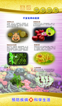 饮食健康文化挂图