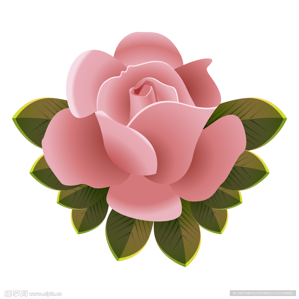 卡通玫瑰花