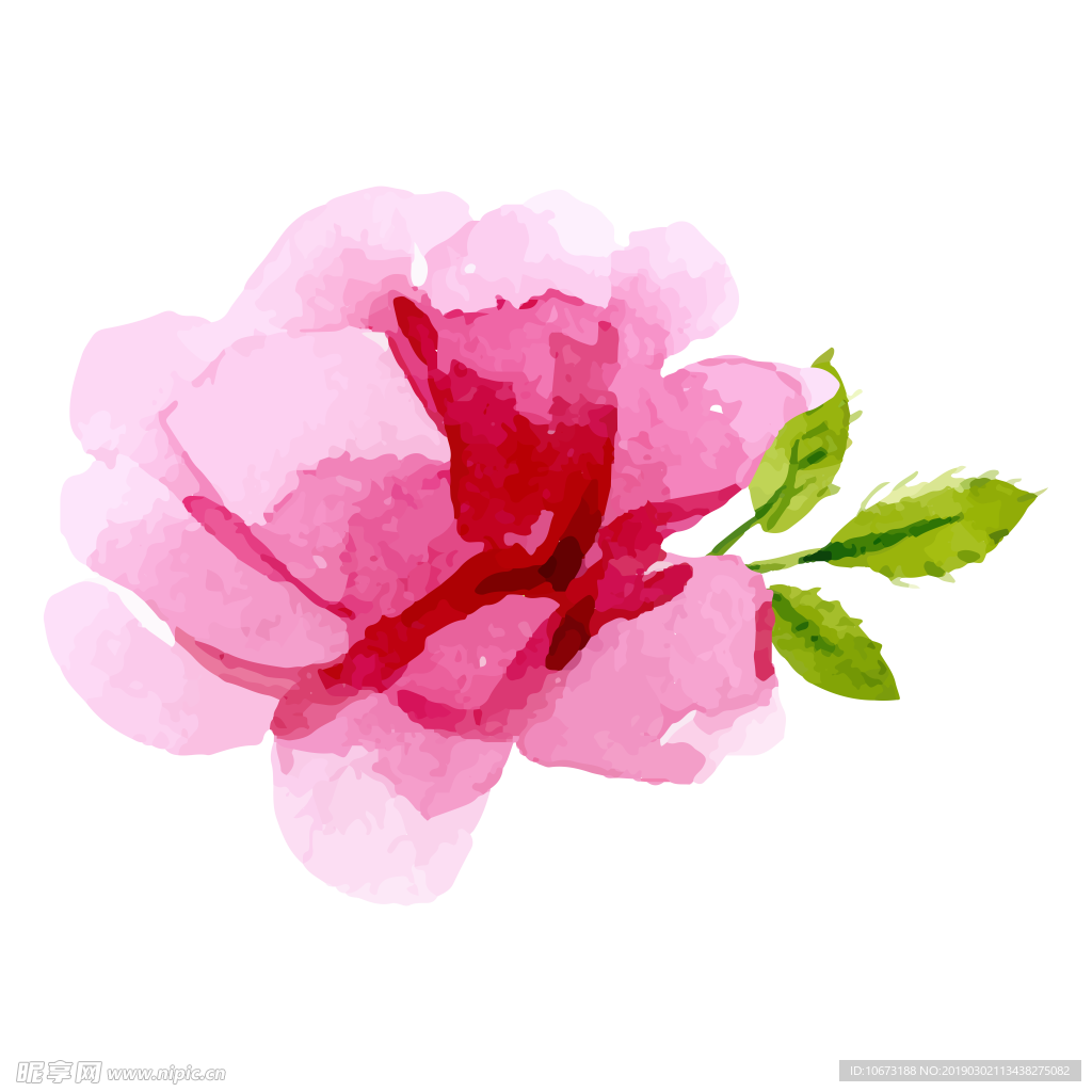卡通玫瑰花