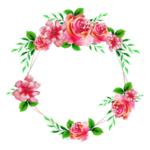卡通玫瑰花