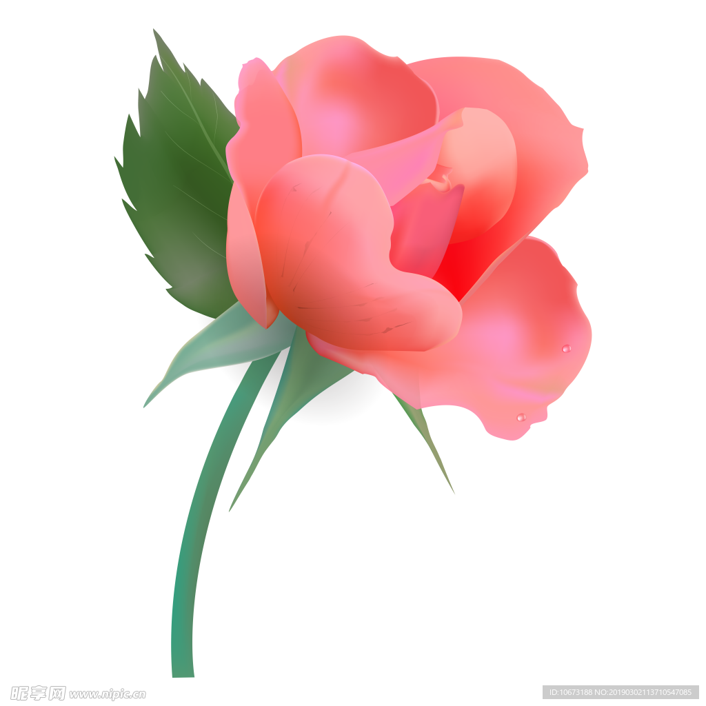 卡通玫瑰花