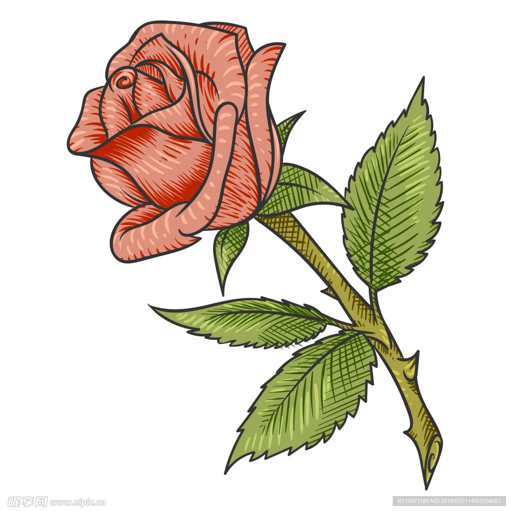 卡通玫瑰花