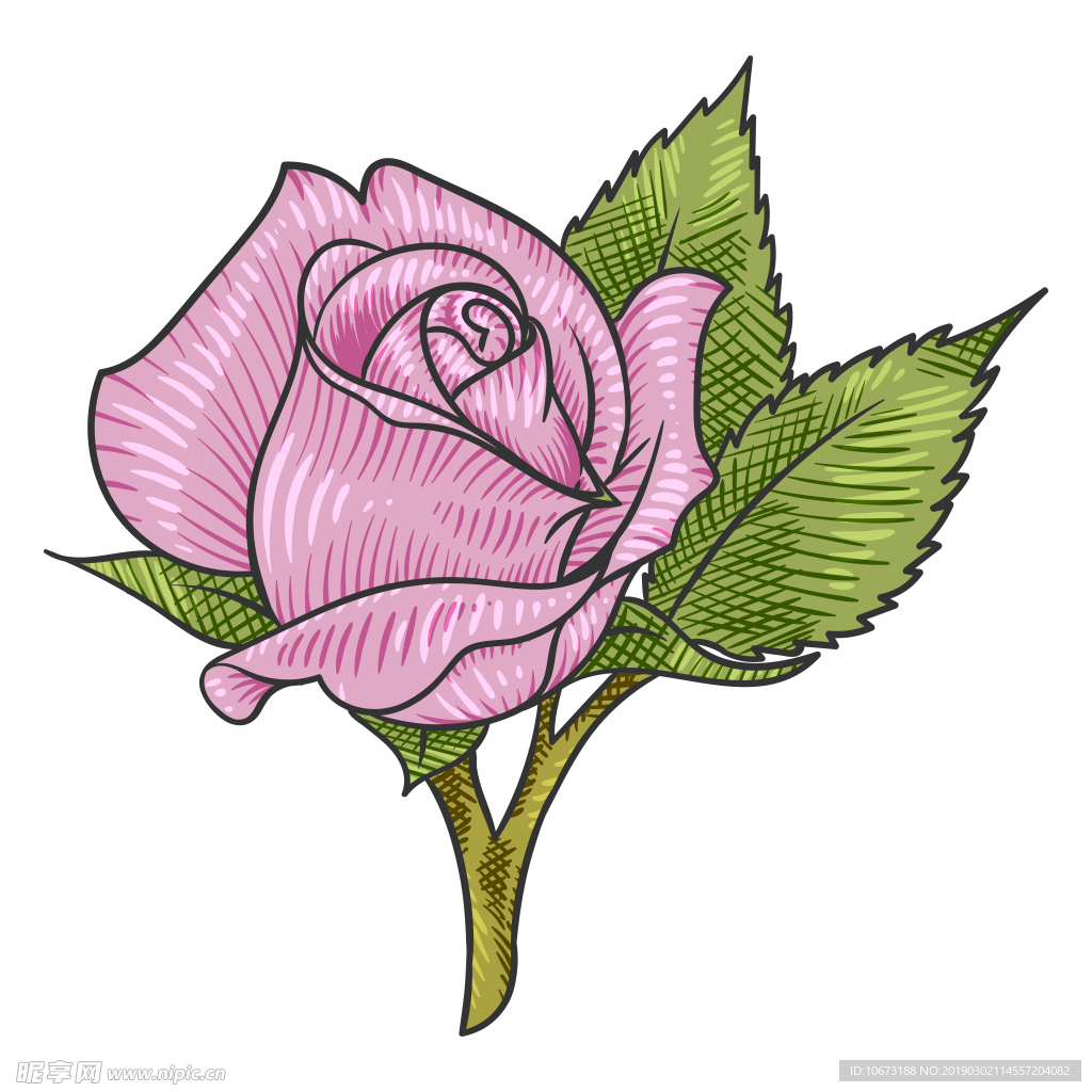 卡通玫瑰花
