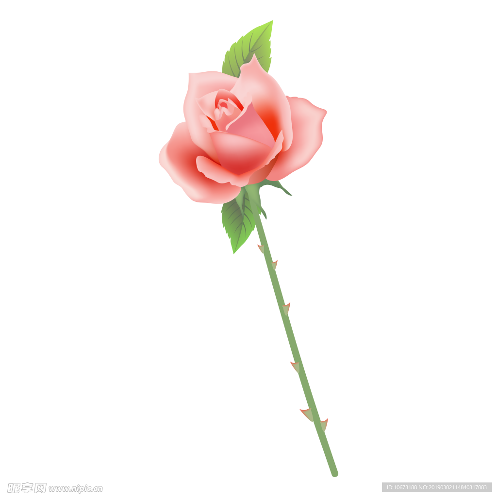 卡通玫瑰花