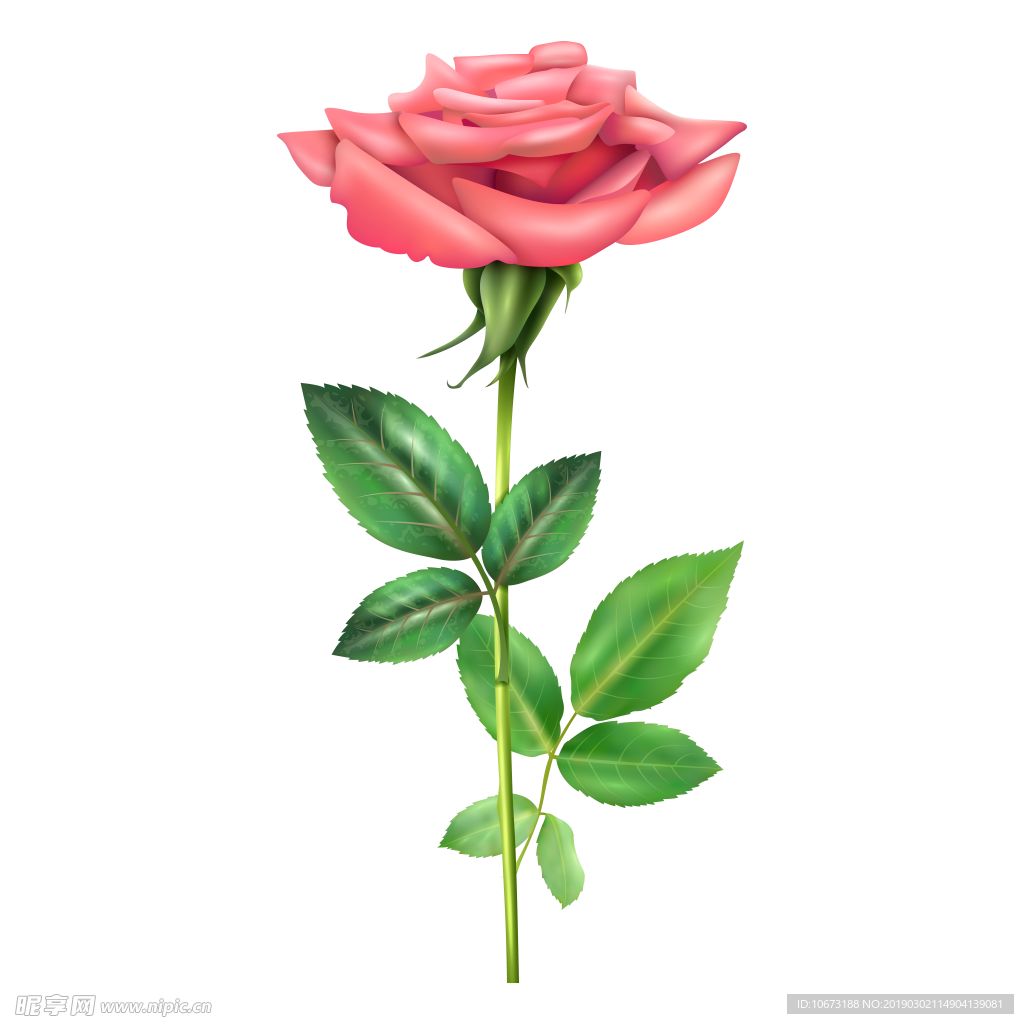 粉色玫瑰手捧花卡通手繪免摳元素PSD圖案素材免費下載，圖片尺寸3000 × 2000px - Lovepik