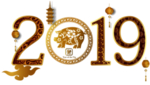 2019猪年