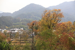 风景图