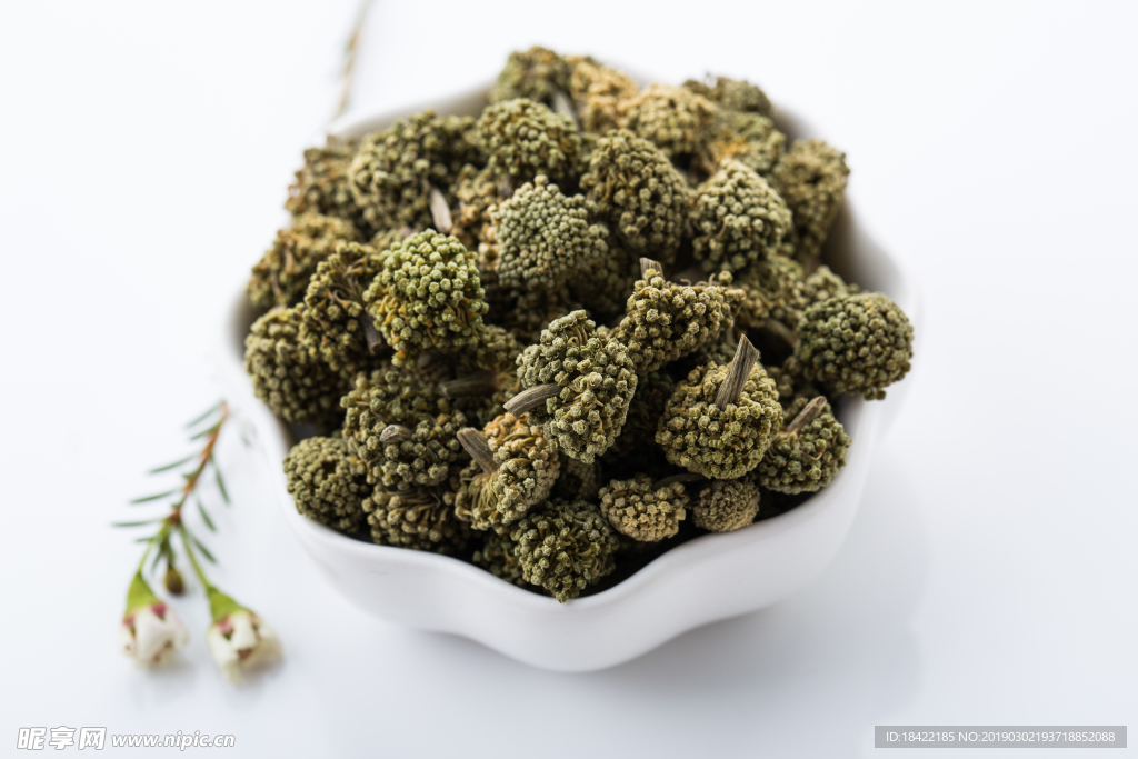 三七花
