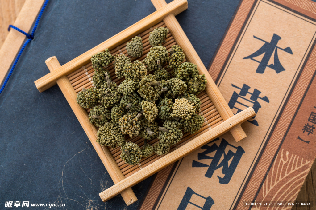 三七花