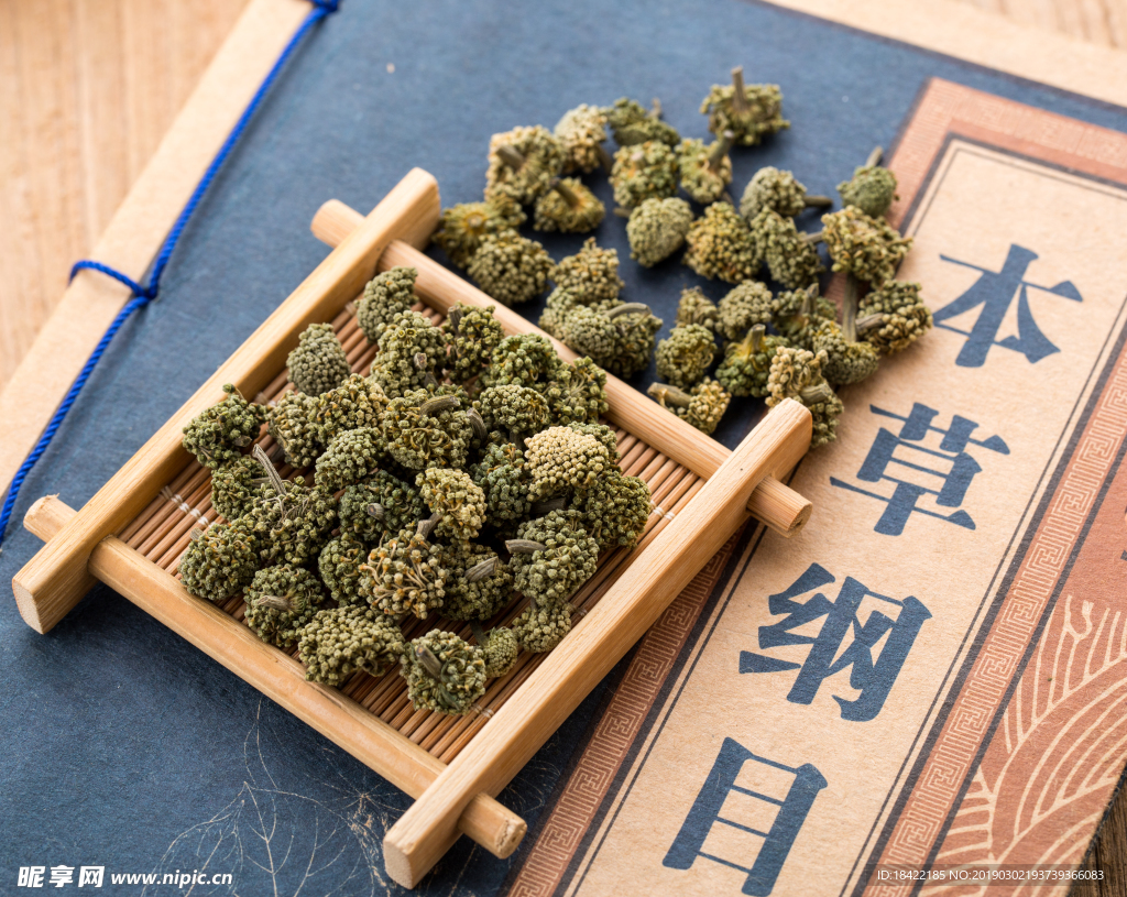三七花