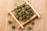 三七花
