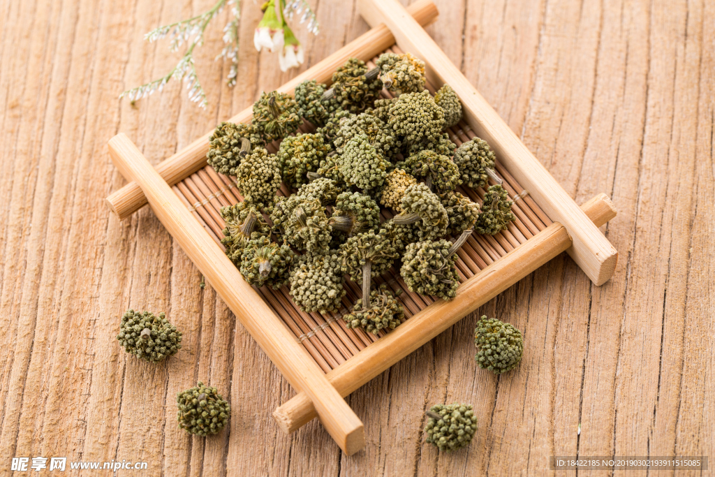 三七花