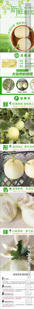 白山蜜甜瓜