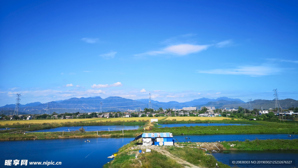 田野