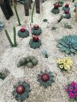 惠州植物园