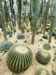 惠州植物园