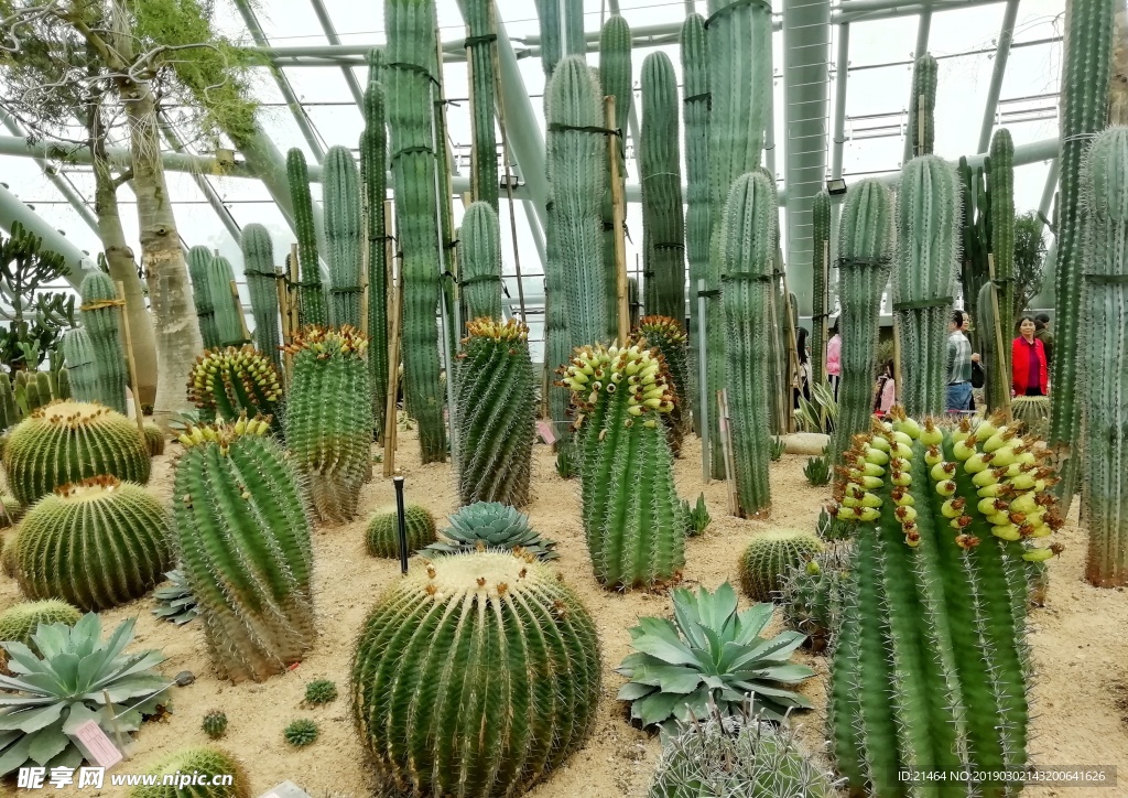 惠州植物园