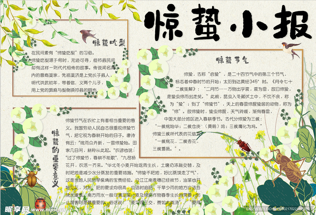 春天小报