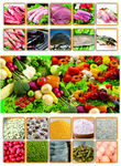 超市果蔬分类
