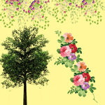 花边