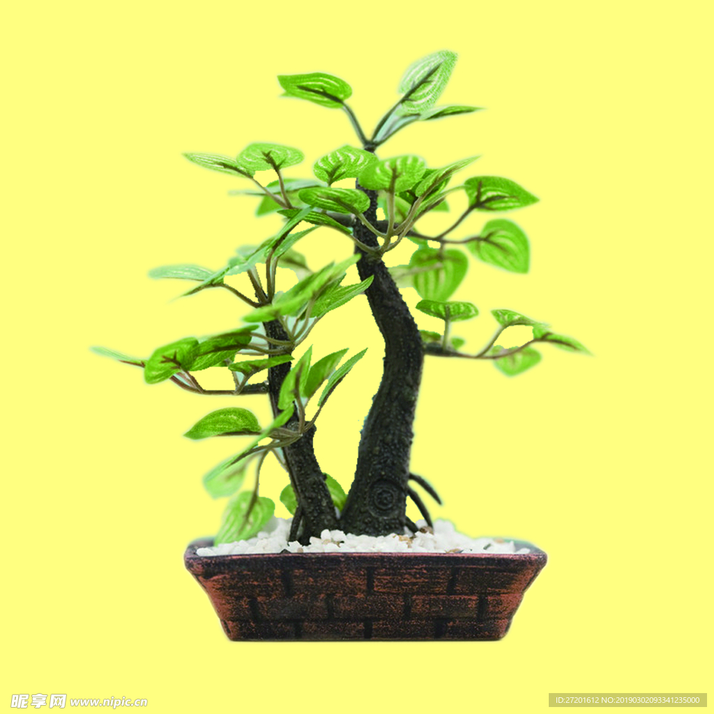 盆栽