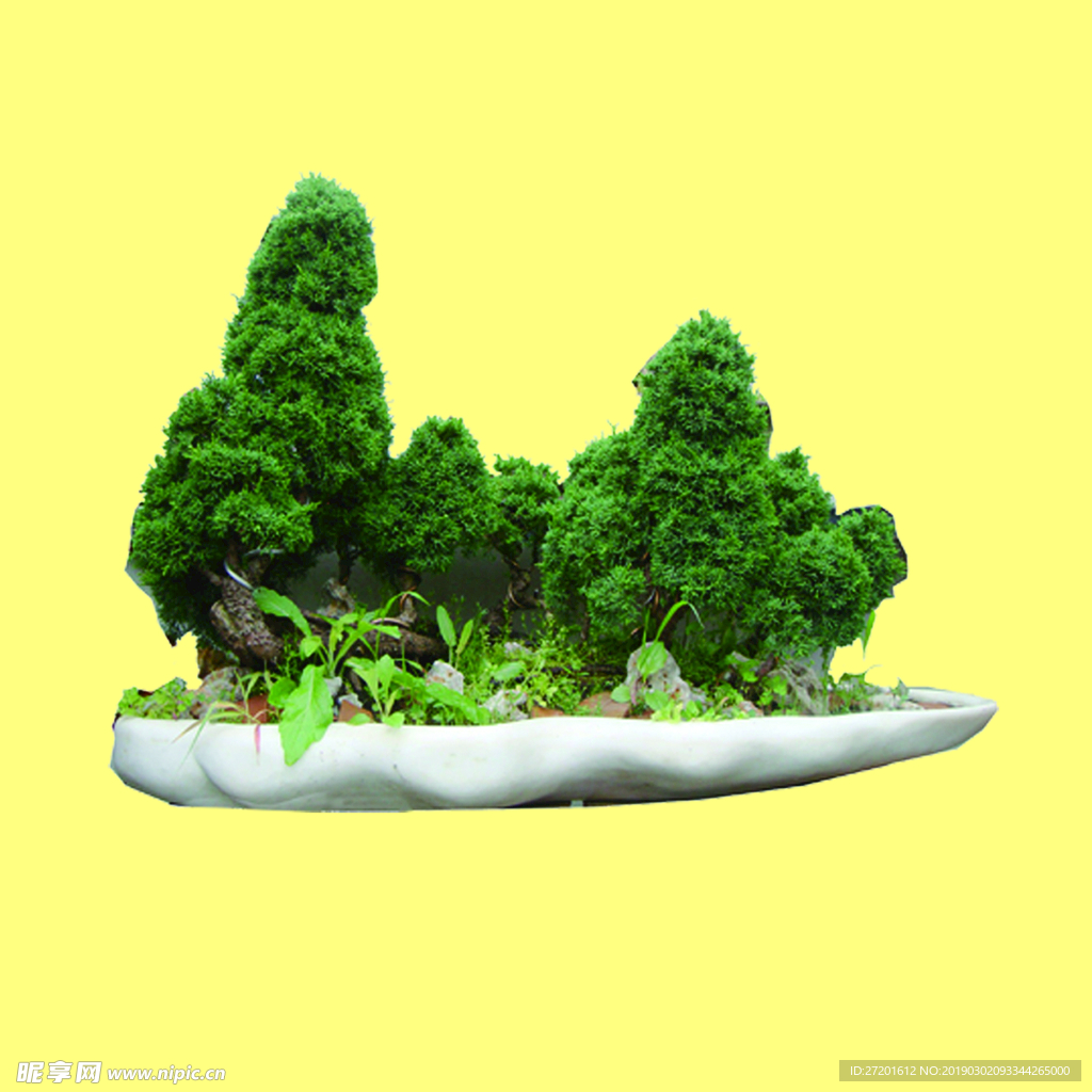 盆栽