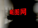logo模板