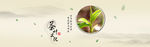 茶叶主图