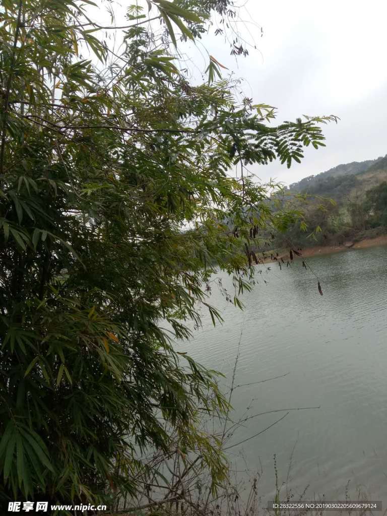 水