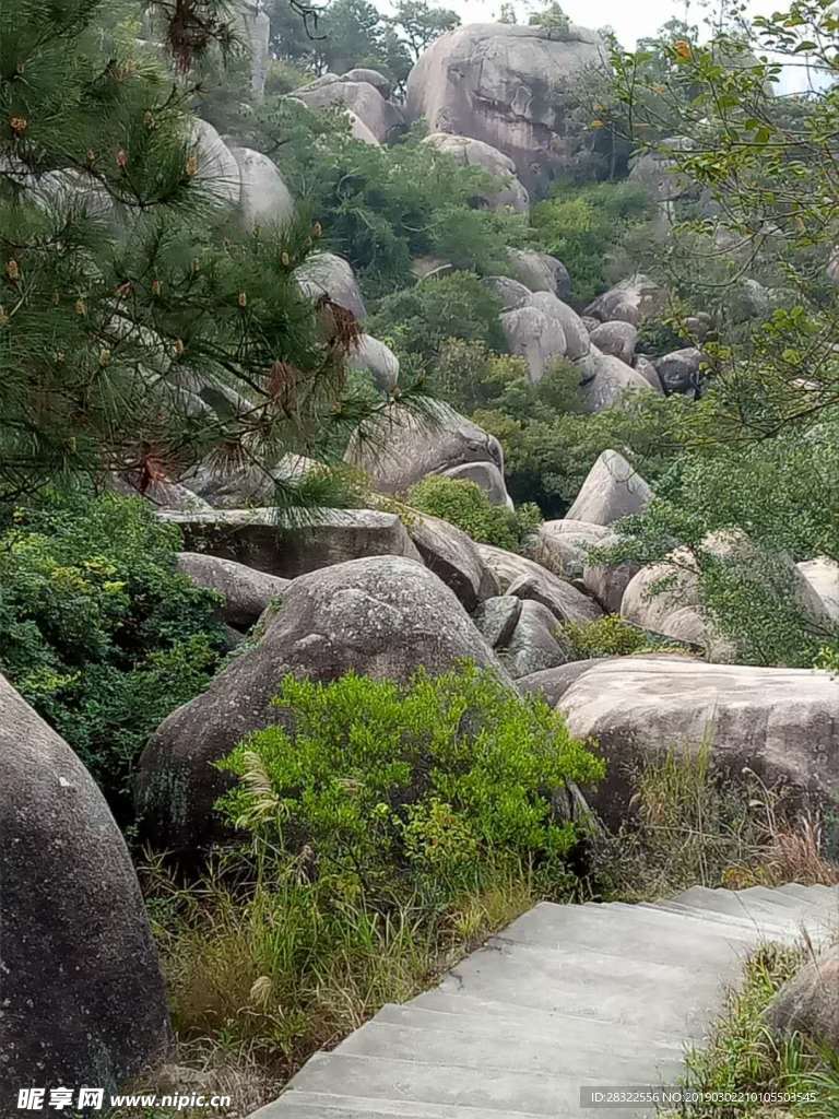 山