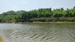 河岸美景
