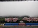 雾 修仙