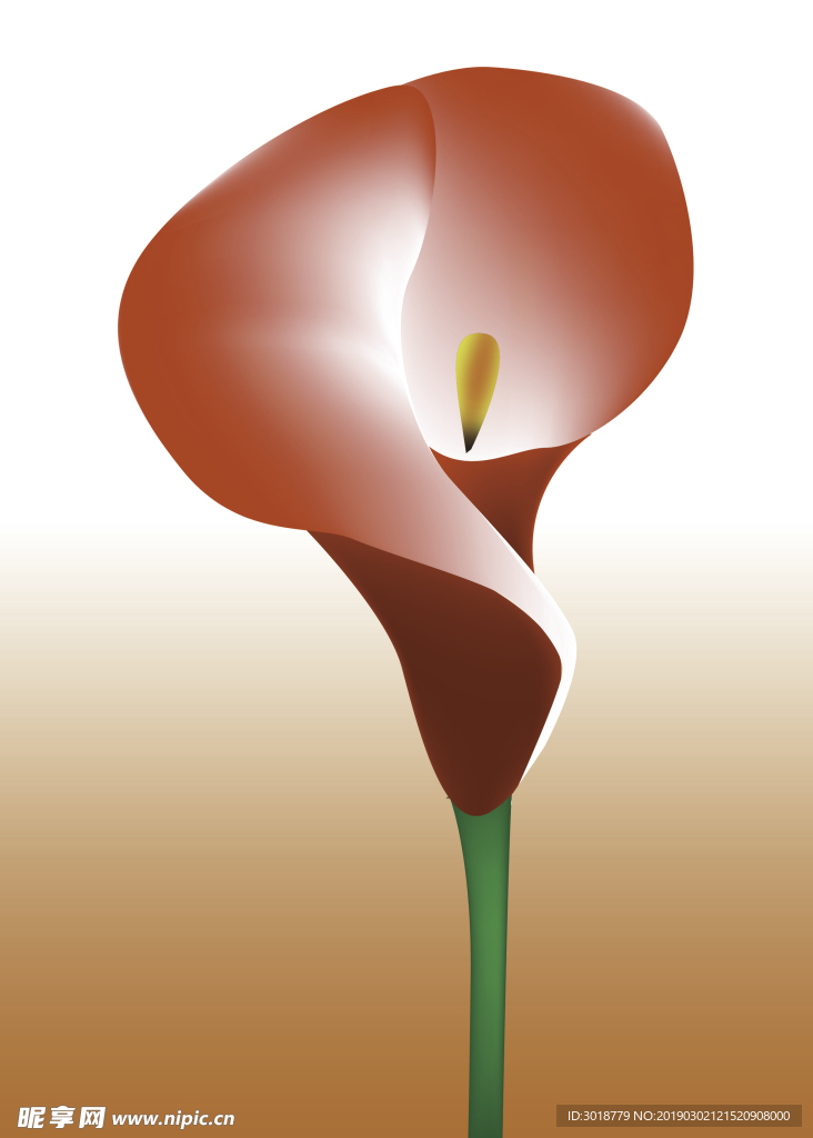 花卉