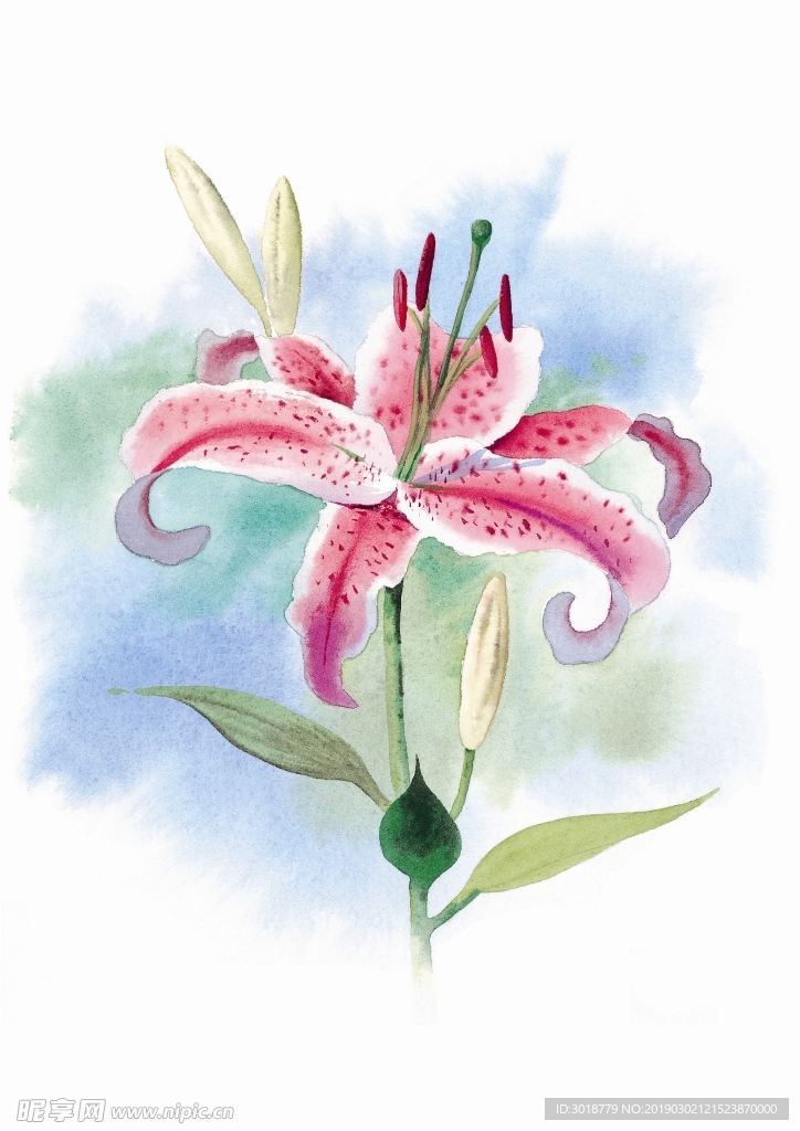 花卉