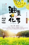 油菜花