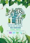 春季海报