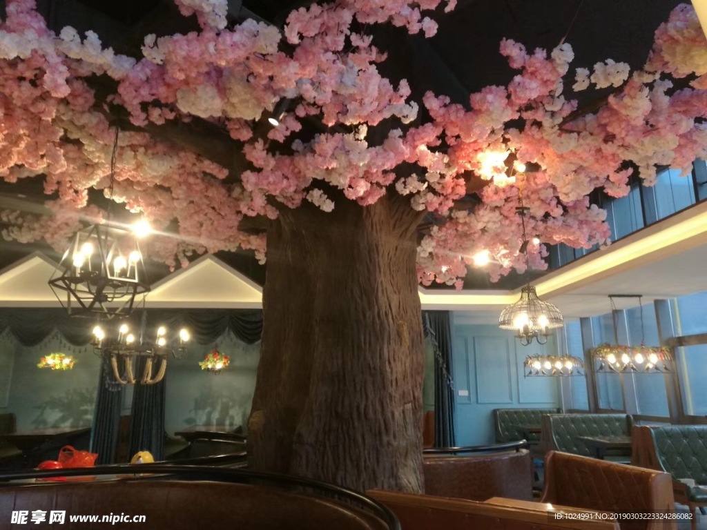餐饮樱花树