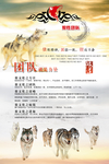狼性团队文化海波