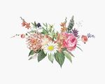 矢量鲜花