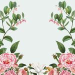 矢量鲜花