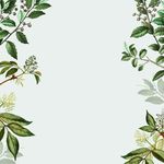 矢量鲜花