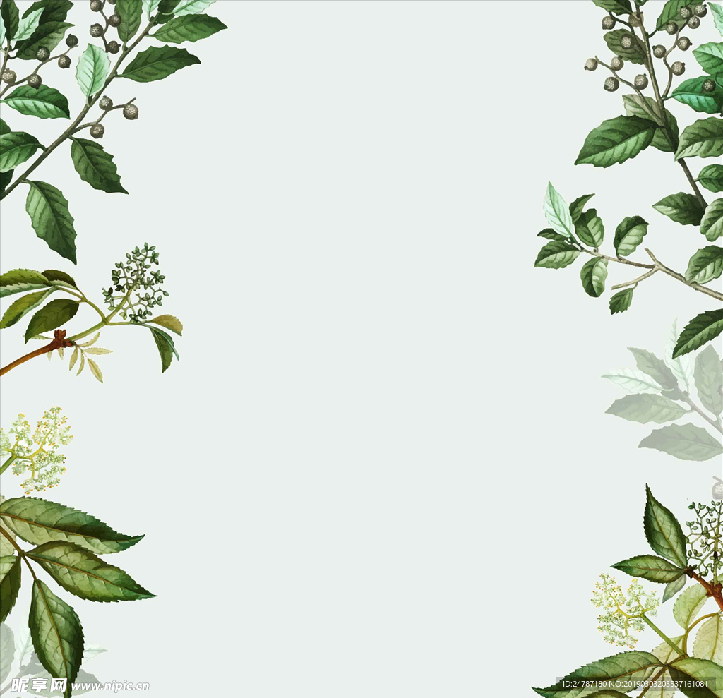 矢量鲜花