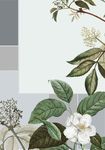 矢量鲜花