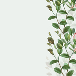 矢量鲜花