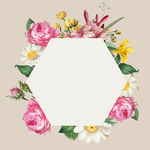 矢量鲜花