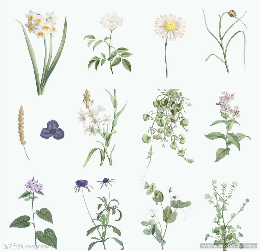 矢量鲜花
