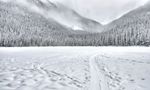 雪